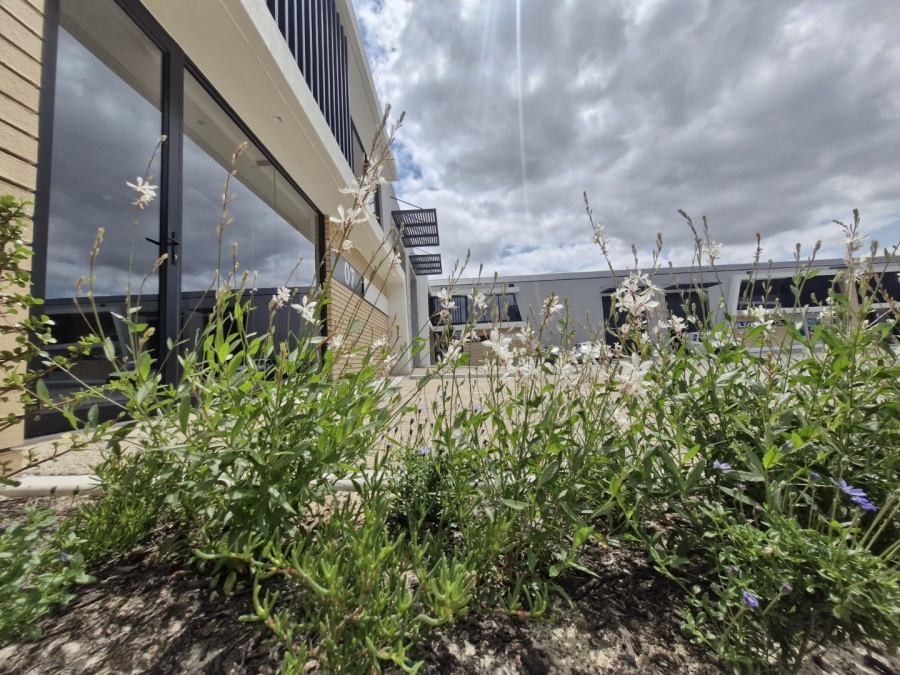 To Let commercial Property for Rent in Stikland Industrial Western Cape